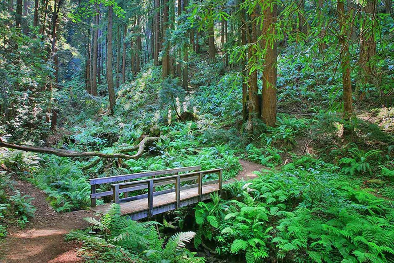 Montara Beach Mountain Escape Exterior foto